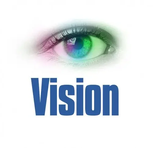 What is Vision in business and elements of vision