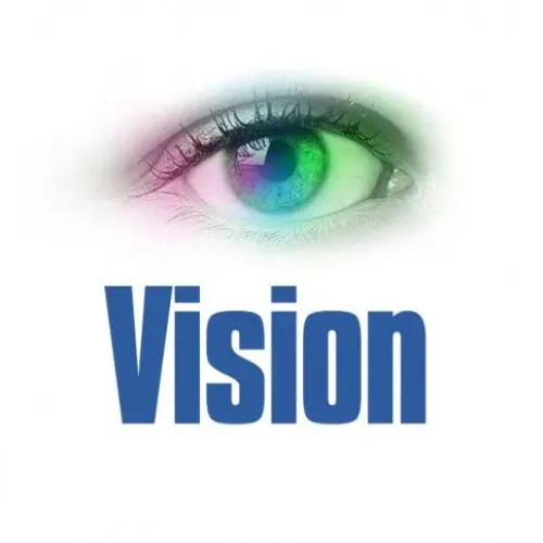 What is Vision in business and elements of vision